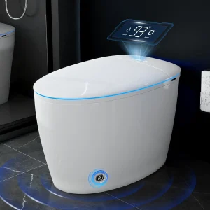 Smart Toilet with Bidet