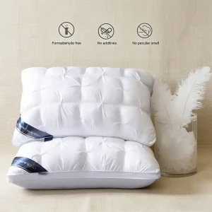 two large, soft yet supportive pillows